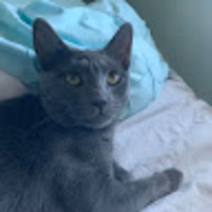 Meet your Posher, Karen